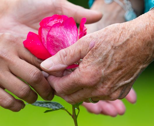 Supporting your loved one towards their end of life image
