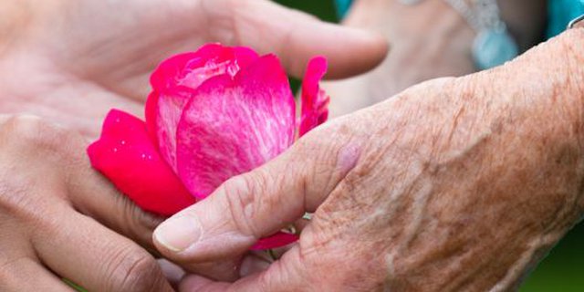Supporting your loved one towards their end of life image