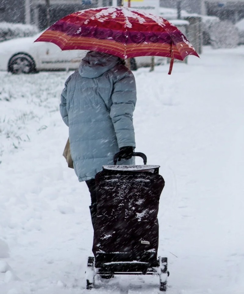 Preparing for the Winter image