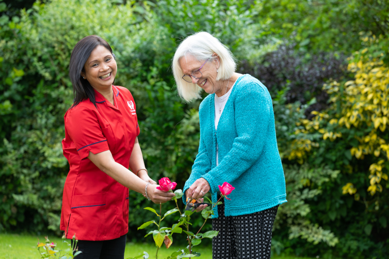 companionship gardening together image