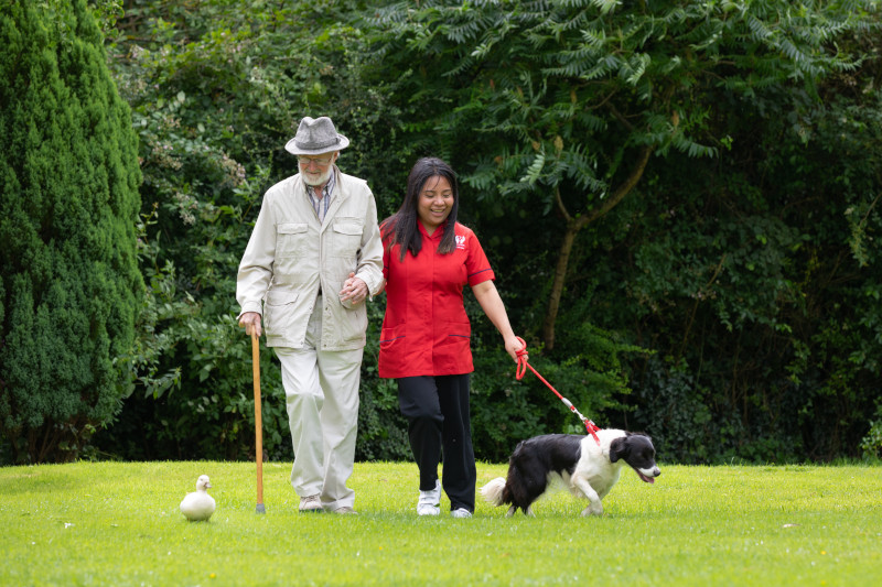 companionship walking the dog image